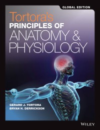 Image of Tortora's Principles of Anatomy & Physiology Global Edition
