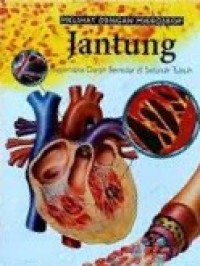 Image of Melihat Dengan Mikroskop Jantung: Bagaimana Darah Beredar di Seluruh Tubuh