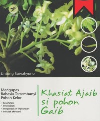 Image of Khasiat Ajaib Si Pohon Gaib: Mengupas Rahasia Tersembunyi Pohon Kelor
